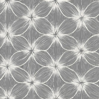 Afbeeldingen van Maximilian Grey - 1080001-03
